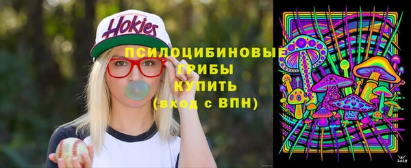гидропоника Покровск