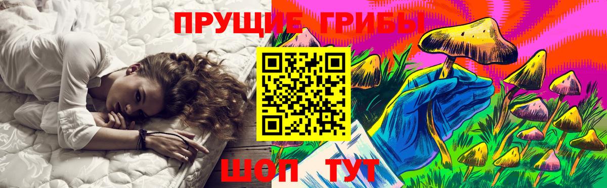Галлюциногенные грибы мицелий  Псилоцибиновые грибы Psilocybine cubensis  Сафоново  Вход с VPN 